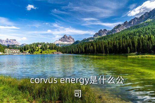 凱富能源是什么公司，corvus energy是什么公司