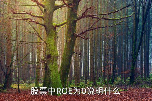 股票中ROE為0說明什么