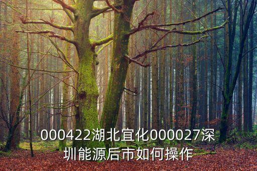 000027之前名什么，000422湖北宜化000027深圳能源后市如何操作