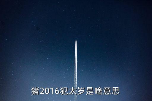 2016年犯什么星辰表，1974年的人在2016年犯太陽星嗎