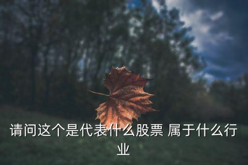 請(qǐng)問(wèn)這個(gè)是代表什么股票 屬于什么行業(yè)