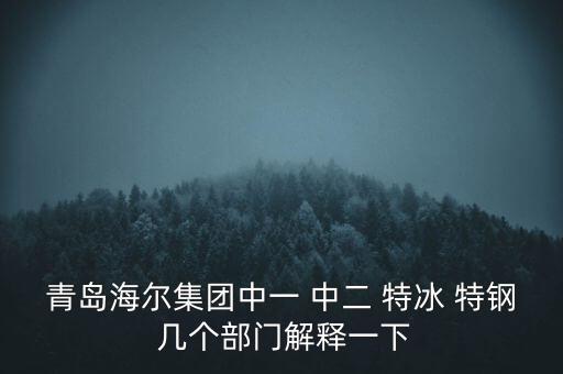 海爾內(nèi)銷是什么意思，有帶鎖的冰箱么冷藏冷凍功能都要有的謝謝