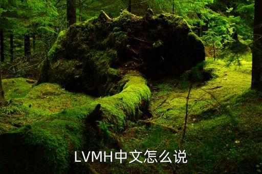 LVMH和LV是什么關(guān)系啊，LVMH是全球五百強(qiáng)嗎