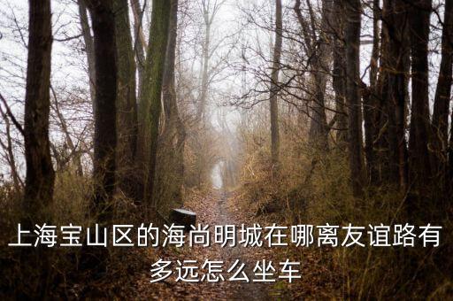 上海寶山區(qū)的海尚明城在哪離友誼路有多遠怎么坐車