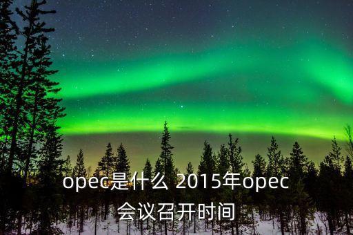 什么是opec會議，OPEC石油會議是什么時候召開啊石油價格會受影響嗎