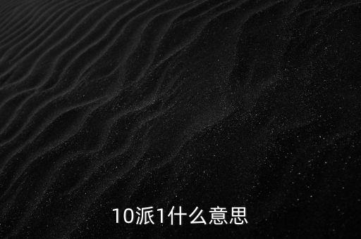 10派1什么意思