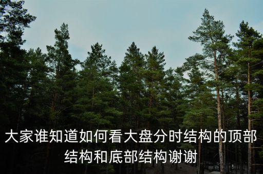 大家誰知道如何看大盤分時(shí)結(jié)構(gòu)的頂部結(jié)構(gòu)和底部結(jié)構(gòu)謝謝