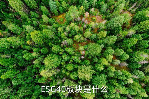 股票入選esg40是什么意思，ESG40板塊是什么