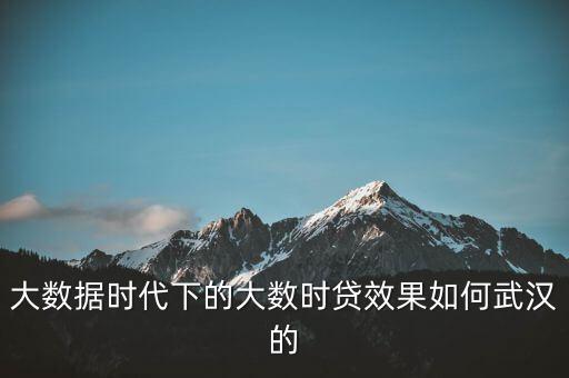 大數(shù)據(jù)時(shí)代下的大數(shù)時(shí)貸效果如何武漢的