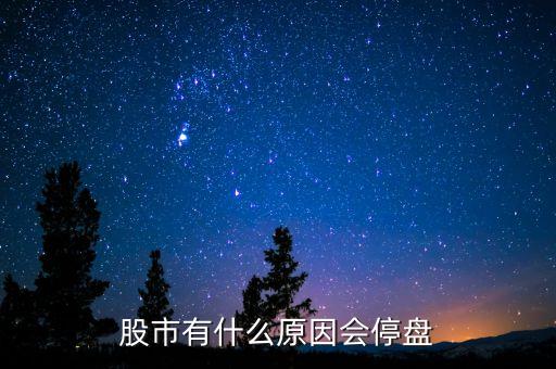 002203為什么停盤，股市有什么原因會停盤