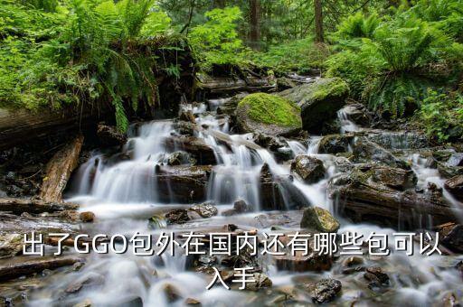 在中國(guó)還可以買什么，出了GGO包外在國(guó)內(nèi)還有哪些包可以入手