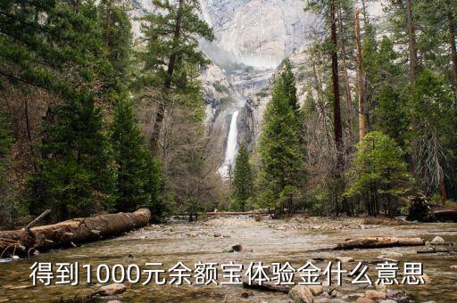 1000余額寶體驗(yàn)金是什么，得到1000元余額寶體驗(yàn)金什么意思