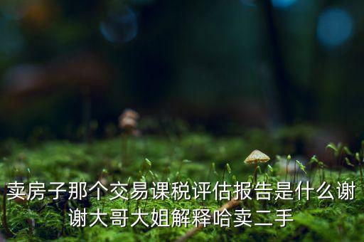 交易課稅是什么意思，名詞解釋證券交易稅