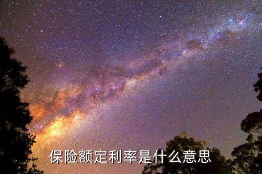 保險額定利率是什么意思