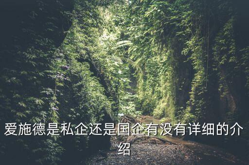 愛施德是私企還是國企有沒有詳細的介紹