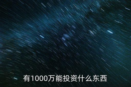 1000萬投資什么好，有1000萬能投資什么東西