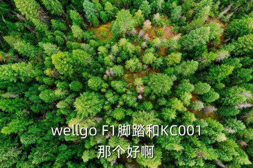 wellgo F1腳踏和KC001那個(gè)好啊