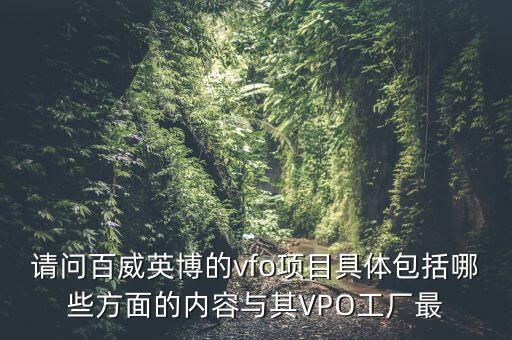 請問百威英博的vfo項目具體包括哪些方面的內容與其VPO工廠最