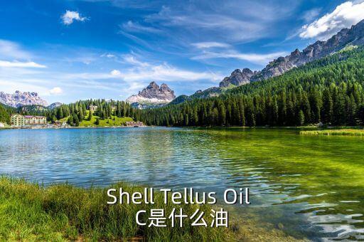 權(quán)益油是什么，Shell Tellus Oil C是什么油