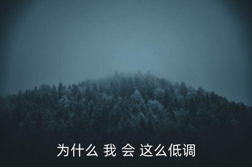 為什么 我 會(huì) 這么低調(diào)