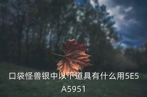 口袋怪獸銀中以下道具有什么用5E5A5951