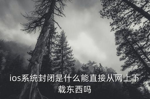 ios系統(tǒng)封閉是什么能直接從網(wǎng)上下載東西嗎