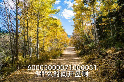 600050000710600515什么時間開盤啊