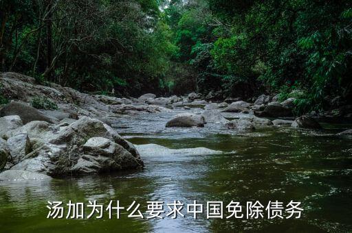 湯加為什么要求中國免除債務(wù)