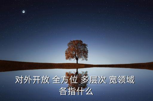 什么是多層次開放，對外開放 全方位 多層次 寬領(lǐng)域 各指什么