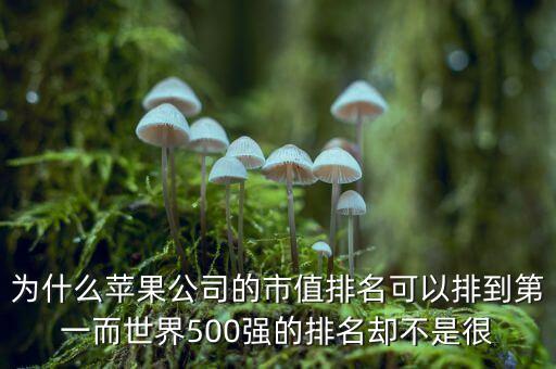 為什么蘋果公司的市值排名可以排到第一而世界500強的排名卻不是很