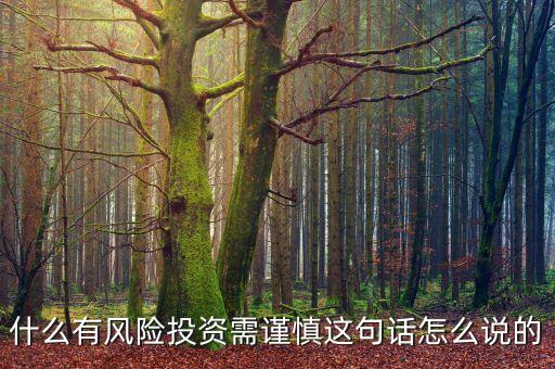 什么有風(fēng)險(xiǎn)投資需謹(jǐn)慎這句話怎么說的