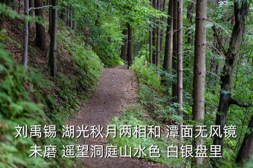 君山股份是做什么，劉禹錫 湖光秋月兩相和 潭面無風(fēng)鏡未磨 遙望洞庭山水色 白銀盤里