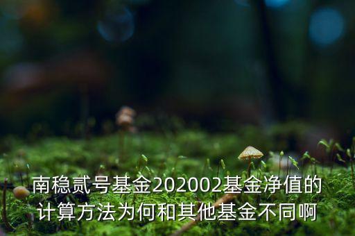 南穩(wěn)二號為什么要分紅，南穩(wěn)貳號基金202002基金凈值的計算方法為何和其他基金不同啊