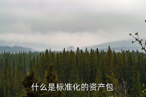 什么屬于標(biāo)準(zhǔn)化資產(chǎn)，標(biāo)準(zhǔn)化資產(chǎn) 什么是標(biāo)準(zhǔn)化資產(chǎn)