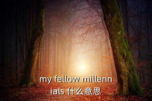 為什么叫千禧一代，my fellow millennials 什么意思