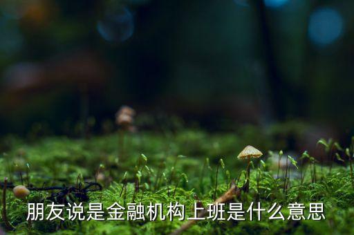 朋友說是金融機構(gòu)上班是什么意思