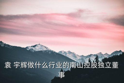 袁 宇輝做什么行業(yè)的南山控股獨(dú)立董事