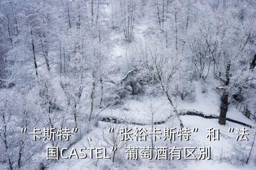 “卡斯特”、“ 張裕卡斯特”和“法國CASTEL”葡萄酒有區(qū)別