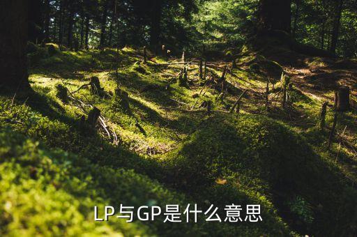 LP與GP是什么意思