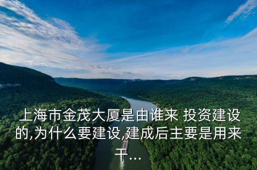  上海市金茂大廈是由誰來 投資建設的,為什么要建設,建成后主要是用來干...