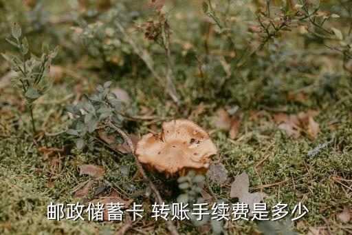  郵政儲蓄卡 轉(zhuǎn)賬手續(xù)費(fèi)是多少