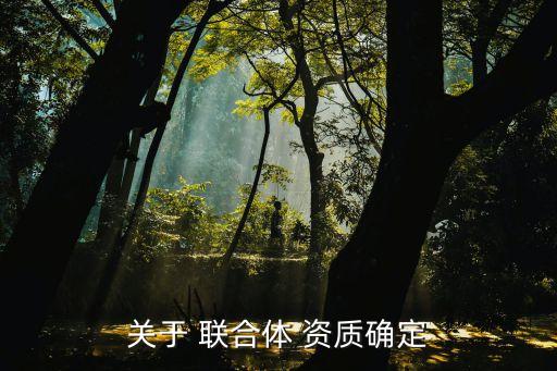 株洲聯(lián)合城市建設有限責任公司注冊資質(zhì)