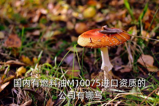 國內(nèi)有燃料油M10075進(jìn)口資質(zhì)的 公司有哪寫