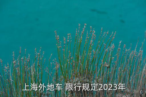 上海加大外牌限行,2023上海外牌加大限行