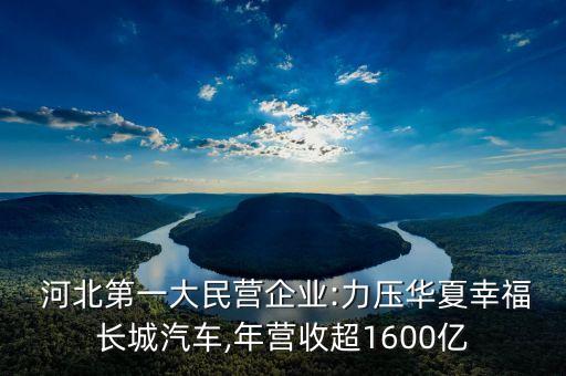  河北第一大民營企業(yè):力壓華夏幸福長城汽車,年營收超1600億