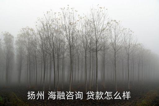 揚(yáng)州 海融咨詢 貸款怎么樣