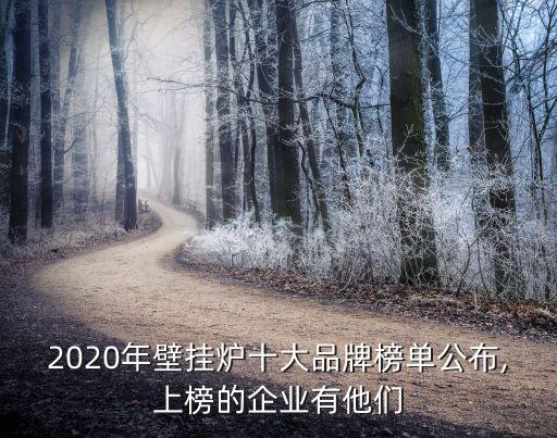 2020年壁掛爐十大品牌榜單公布,上榜的企業(yè)有他們