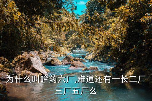 為什么叫哈藥六廠,難道還有一長(zhǎng)二廠三廠五廠么