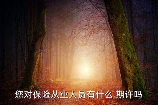 保險(xiǎn)公司期許信