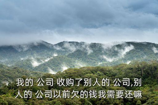 我的 公司 收購了別人的 公司,別人的 公司以前欠的錢我需要還嘛